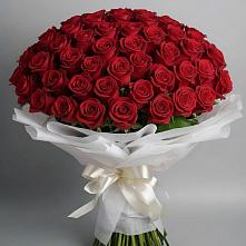 Букет 101 Красная роза Блэк Мэджик #REPLACE_PRED# Новый Адыгея