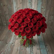 Букет 55 Красных роз Фридом #REPLACE_PRED# Новый Адыгея