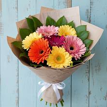 Букет цветов из:  Герберы #REPLACE_PRED# Новый Адыгея