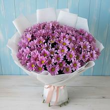Букет цветов из:  Хризантемы в Новый Адыгея
