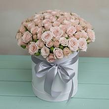 Цветочная композиция из Розы в шляпной коробке #REPLACE_PRED# Новый Адыгея