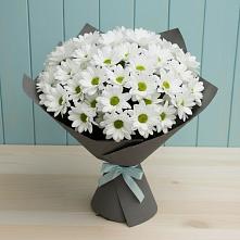 Букет цветов из:  Хризантемы #REPLACE_PRED# Новый Адыгея