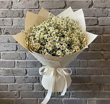 Букет цветов из:  Ромашки #REPLACE_PRED# Новый Адыгея