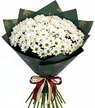 Букет цветов из:  Хризантемы #REPLACE_PRED# Новый Адыгея