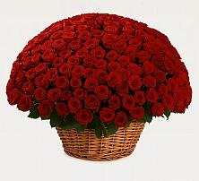 Премиум букет из: Розы #REPLACE_PRED# Новый Адыгея